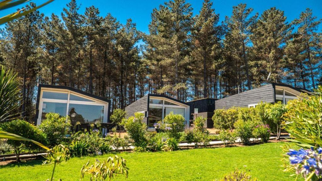 Curi Lodge Пичилему Экстерьер фото
